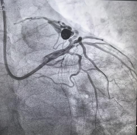 图片4.png 图片4.png