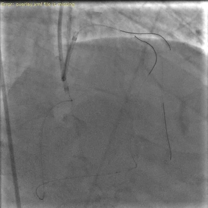 微信图片_2025-12-12_161032_751.jpg 微信图片_2025-12-12_161032_751.jpg