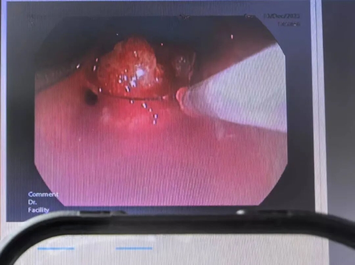 微信图片_2025-12-24_142308_555 微信图片_2025-12-24_142308_555