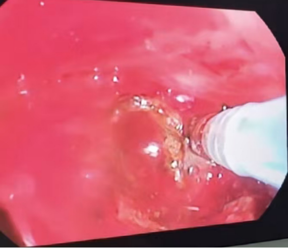 微信图片_2025-12-24_142319_796.png 微信图片_2025-12-24_142319_796.png