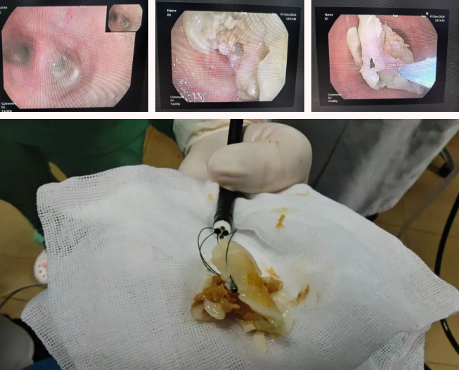 ScreenShot_2026-01-06_105034_059 ScreenShot_2026-01-06_105034_059