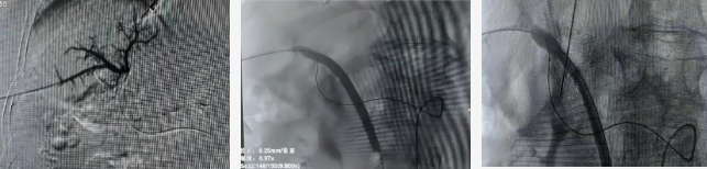 ScreenShot_2026-03-03_083524_958 ScreenShot_2026-03-03_083524_958