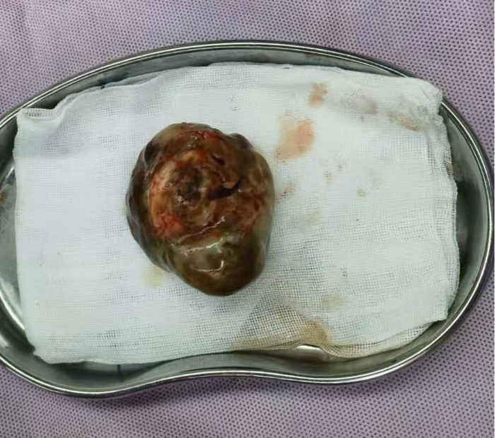 微信图片_2026-04-16_162618_564