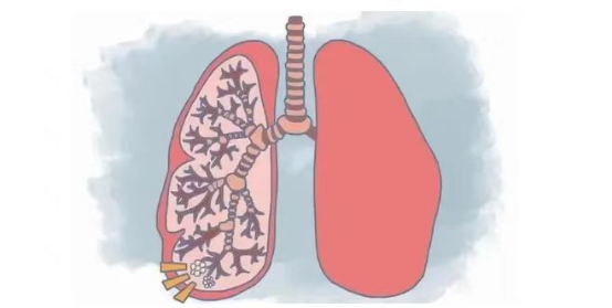 微信图片_2026-04-16_162918_013